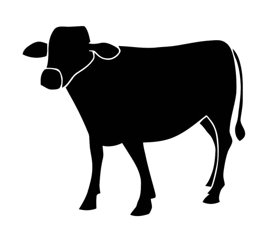 1/2 Beef Share - Deposit for October 2025 Harvest